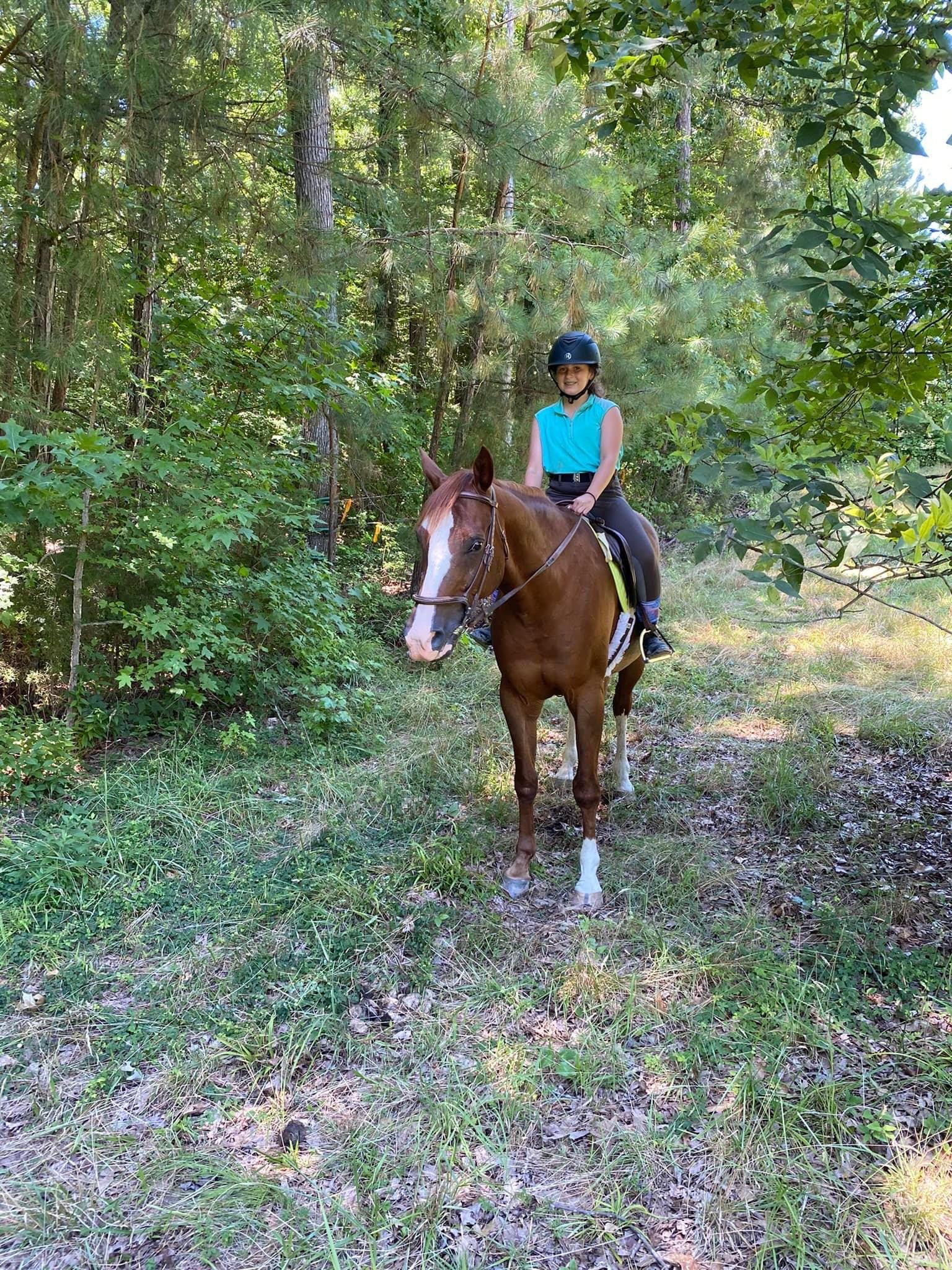 Tall Cedars Farm